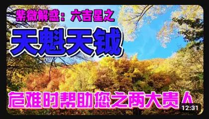 疾厄宮天魁|天魁星介绍，天魁星在十二人事宫 – 紫微麥